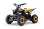 ATV - Mini-Quad für Kinder Beneo Motors Raptor Gelb - 800W