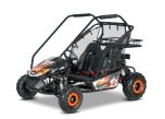 Benzin-Kart für Kinder Beneo Motors BUGGY RSX XL Orange – 212 cm³