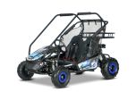 Benzin-Kart für Kinder Beneo Motors BUGGY RSX XL Blau – 212 cm³