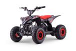Elektro ATV - Quad für Kinder Beneo Motors T-REX Rot - 1300W