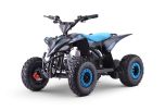 Elektro ATV - Quad für Kinder Beneo Motors T-REX Blau - 1300W