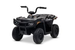 Lizensiertes elektrisches Ride-on Quad Arctic Cat 12V mit Hinterradantrieb, schwarz, LED-Beleuchtung, Lithium-Akku, 2 x 25W Motoren