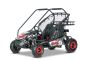 Benzin-Kart für Kinder Beneo Motors BUGGY RSX XL Rot – 212 cm³
