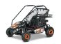 Benzin-Kart für Kinder Beneo Motors BUGGY RSX XL Orange – 212 cm³